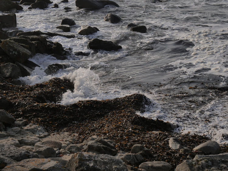 Un fragment de la mer – Gwemon